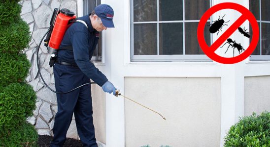 Dernekpazarı Kemirgen İlaçlama böcek ilaçlama ve haşere kontrolü — ilaclama-tr.com